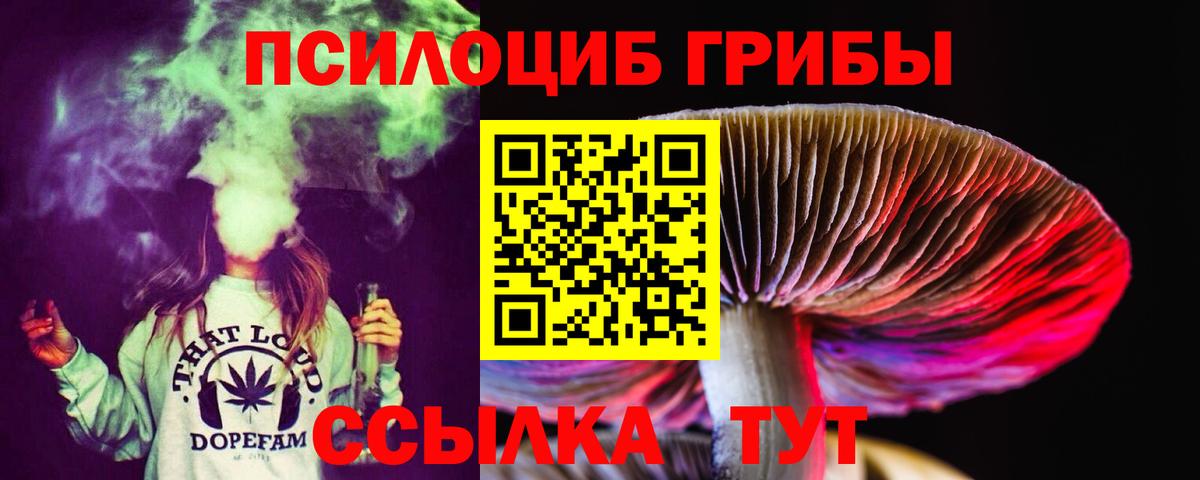 как найти   Псилоцибиновые грибы прущие грибы  Вход с VPN  Зеленогорск 