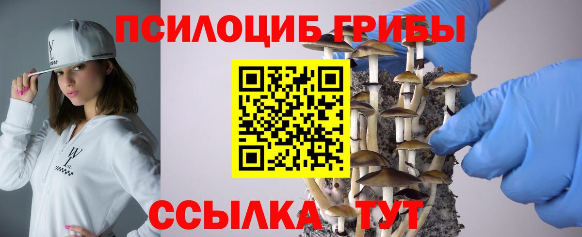 Галлюциногенные грибы Magic Shrooms Зеленогорск